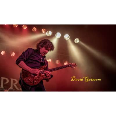 Paul Reed Smith DGT Dave Grissom Signature Open Back 1x12" 60 Watt Guitar Speaker Cabinet - Blonde Tolex image 3