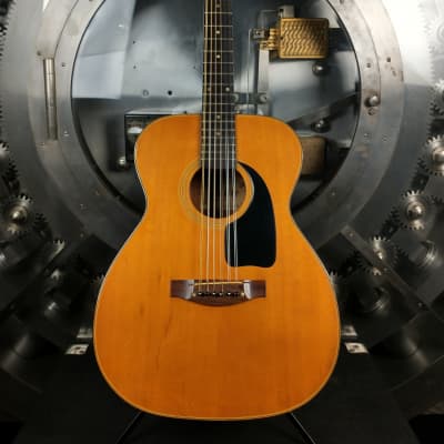 Takamine Gakki Elite 12-String Acoustic w/ Gig Bag image 1