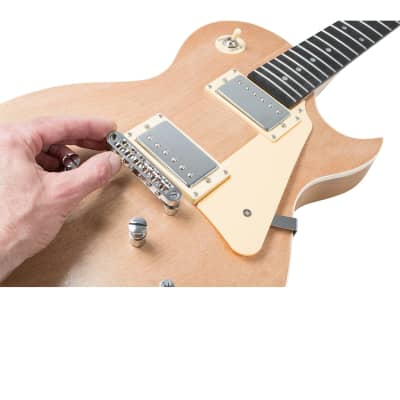 Saga Deluxe Electric Guitar Kit – Single Cutaway LC-10 image 2