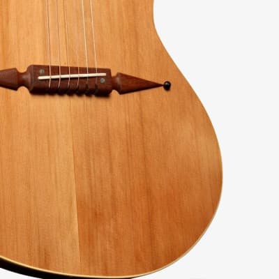 Rick Turner Classic Series Renaissance RS6 Cedar / Mahogany #5935 image 9
