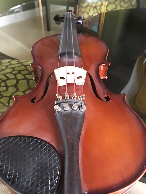 Klaus mueller shop violin