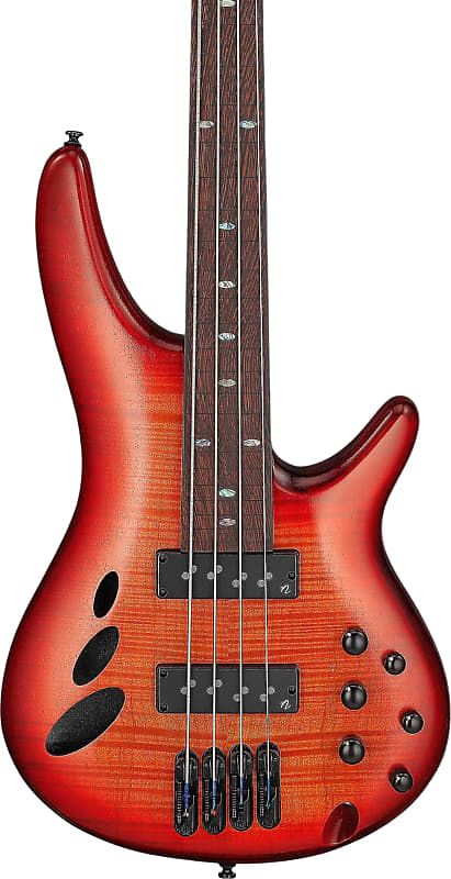 Ibanez SRD900 Fretless 4-String Exotic Maple Electric Bass, Panga Panga Fingerboard, Brown Topaz Burst image 1