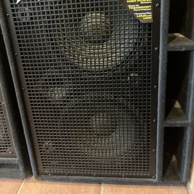 Epifani UL-210 lightweight bass cabinet 2x10