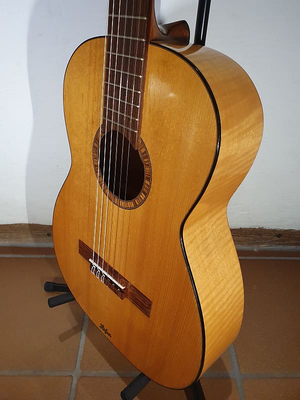 Peavey - Delta Woods CNS-1 Classical Nylon String Guitar