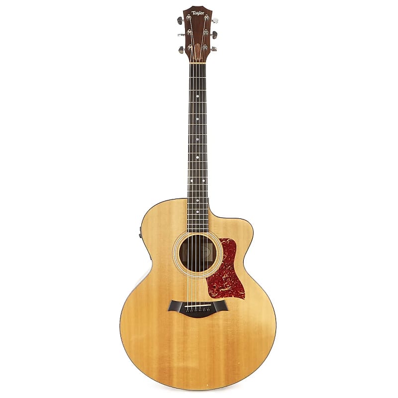 Taylor 315ce with Fishman Electronics Reverb