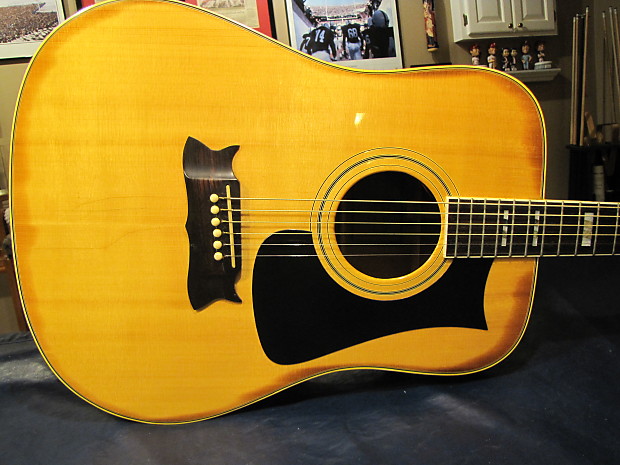Ibanez artist acoustic shop