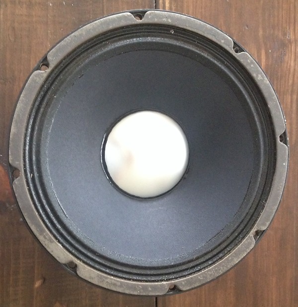 Fender 12F ( EVM12L) | Reverb