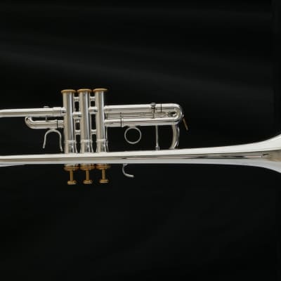 The Wonderful XO 1624 Professional C Trumpet with Gold Trim! image 2