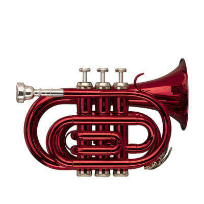 Stagg Bb Pocket Trumpet with Brass Body - Red - WS-TR247S image 5