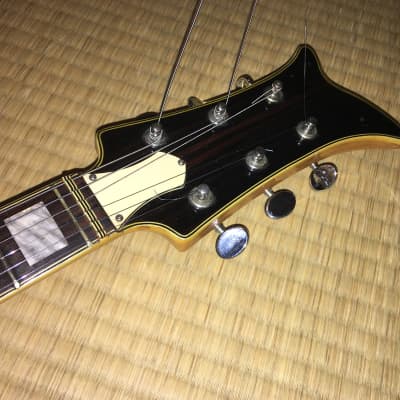 Teisco Vamper 1968 semi-hollow Rarest of the rare! image 15