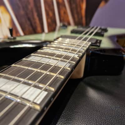 Wylde Audio #4521 Blood Eagle Nordic Ice E-Guitar, Zakk