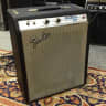 Fender Musicmaster Bass Amp Tube 1974
