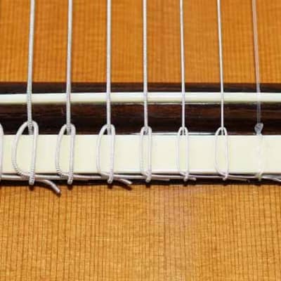Bartolex SLC10CEL Classical 10-String Harp Guitar, w/Pickup, Cutaway, Sound Port, w/Softshell Case image 15