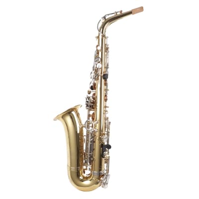 Blessing BAS-1287 Alto Saxophone Outfit - Gold Lacquer image 2