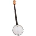 Epiphone MB-100 Open Back 5-String Banjo in Vintage Satin Brown