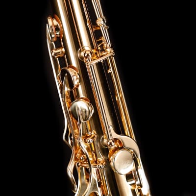 Selmer STS411 Step-Up Tenor Saxophone Outfit-Lacquer image 8