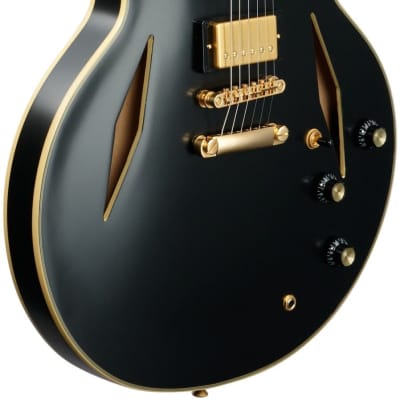 Epiphone Emily Wolfe Sheraton Stealth Electric Guitar (with Hard Bag), Black Aged Gloss image 8