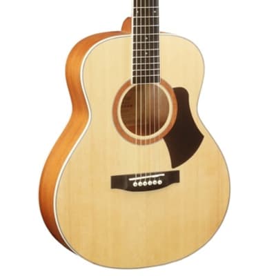Alba By Corbin ASDG315 Mini-Style Acoustic Guitar image 1