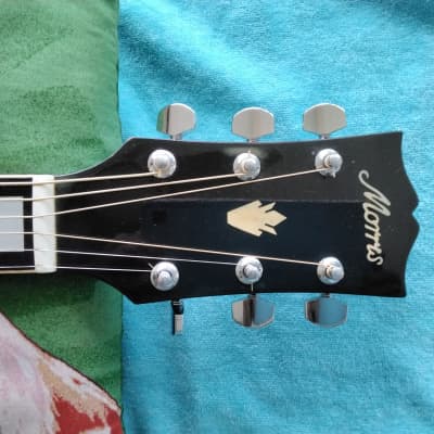Morris WH-25 Hummingbird Acoustic Guitar Made in Japan | Reverb