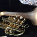 Carol Brass Dizzy Pocket Trumpet w/ Case + Mouthpiece