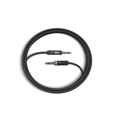 D'Addario PW-AMSK-10 American Stage Kill Switch 1/4" Straight TS Instrument Cable - 10'