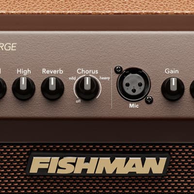 Fishman Loudbox Mini Charge image 4