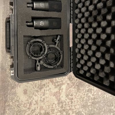 Pair of Audio-Technica AT4050 Large Diaphragm Multipattern Condenser Microphones, with waterproof SKB case image 1