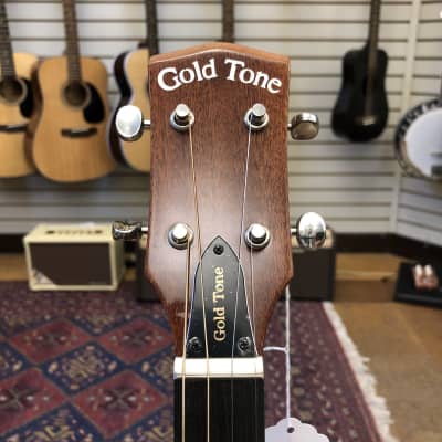 Gold Tone TG-10 Tenor Acoustic Guitar w/Padded Gig Bag image 7