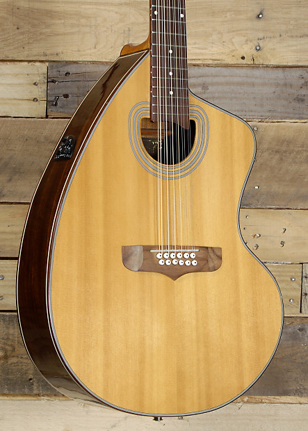 Giannini 12 String Acoustic Electric Guitar Natural Finish image 1