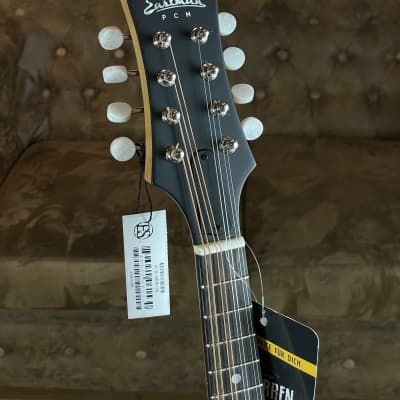 Eastman PCH-M104 Goldburst Mandolin incl. Gigbag + NEW image 2