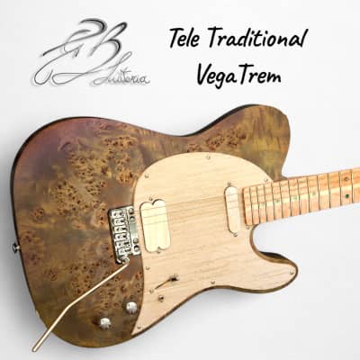 青崎 Truth Guitar Shop テレギブタイプ ジェフベック 青崎 Truth