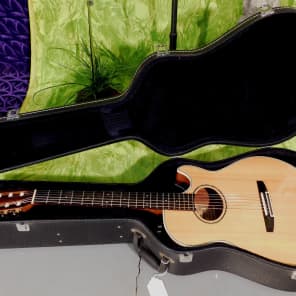 Ibanez ae450 shop