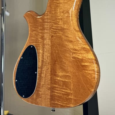 B.C. Rich Custom Shop Eagle Supreme 2024 image 13