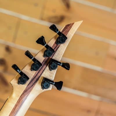 Elysian Guitars Espada® 6 string 2017  Black Satin image 5