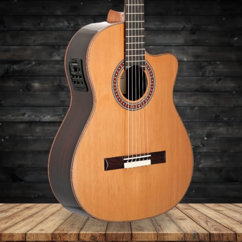 Richwood Artist Series RD-17-12CE 12-string acoustic guitar