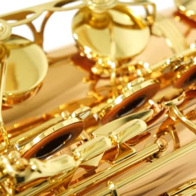 Free shipping! 【Special price】 Yanagisawa T-WO2(TWO2) Bronze Tenor Saxophone image 13