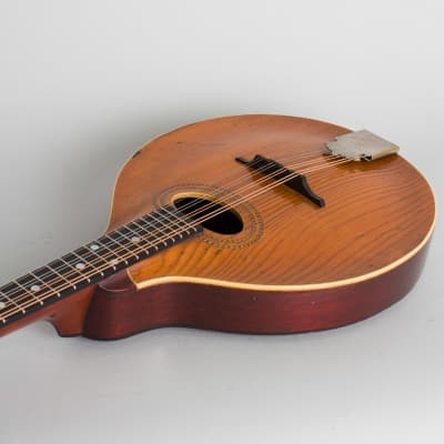 Gibson  Style A-1 Carved Top Mandolin (1910), ser. #9441, original black hard shell case. image 7