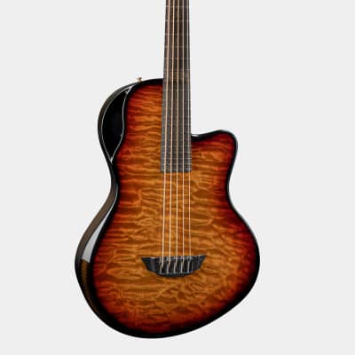 Emerald Balor Bass 5-String | Carbon Fiber Acoustic Bass Guitar image 9