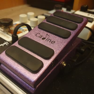 Caline CP-72 Bass Wah / Volume for sale