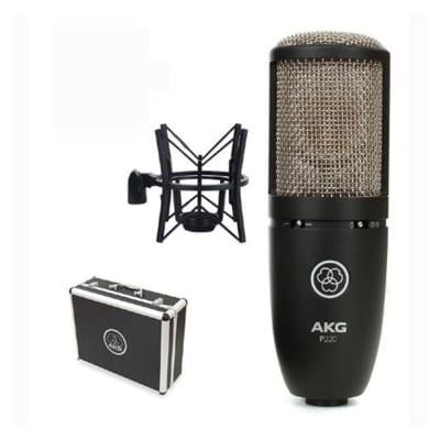 AKG P220 Condenser Microphone with On-Stage MS7701B