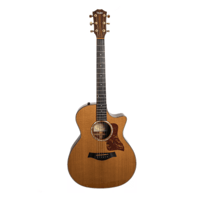 Taylor 514ce with ES1 Electronics