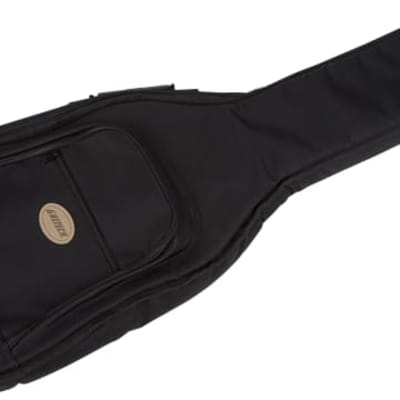 Violin bass deals gig bag