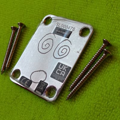 Fender Steve Lacy PEOPLE PLEASER Stratocaster Neck Plate image 2