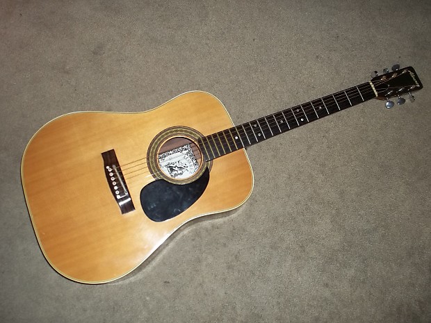 Alvarez 5023 acoustic guitar new arrivals