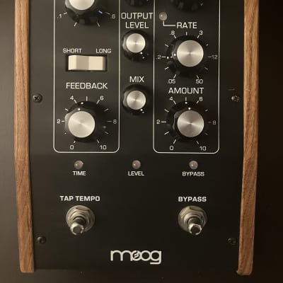 Moog Moogerfooger MF-104M Analog Delay | Reverb