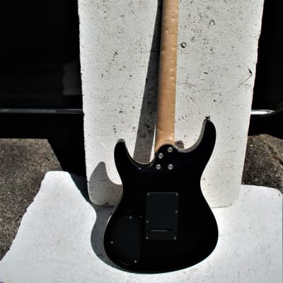 s*n様 Washburn RX25 虎目　シースルーブラック　Floyd Ro Washburn RX-25 | Reverb