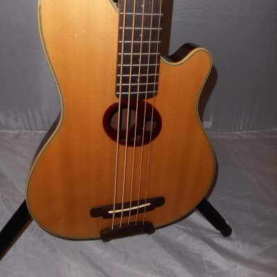 Ibanez TTR 35B 5 string  acoustic bass, nice! image 6