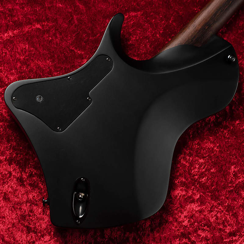 ABASI GUITARS/Larada 6 Multi Scale Burl Maple/Ebony (Black