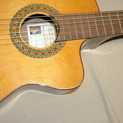 Manuel Rodriguez Model A Cut Classical Acoustic Guitar with Case image 10