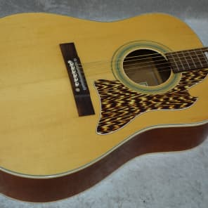 Kingston V2 acoustic guitar with chipboard case image 1